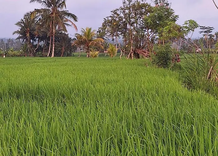 ヴィラ The Sari Pulagan Tampaksiring