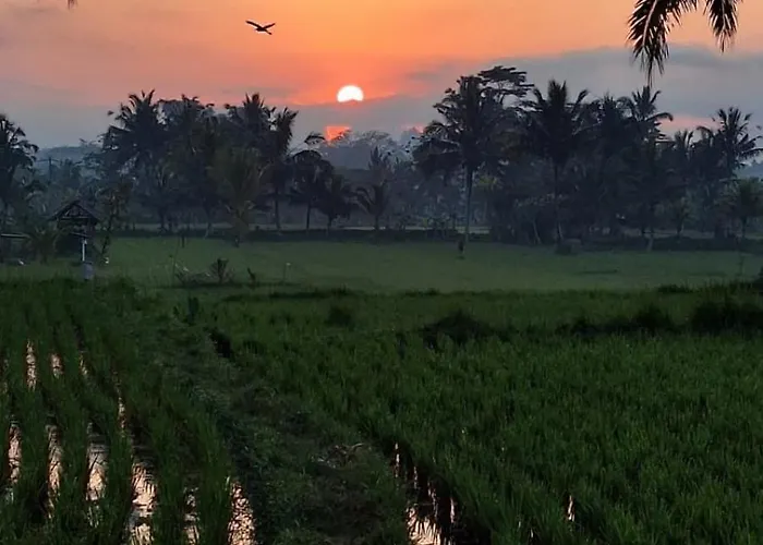 The Sari Pulagan Tampaksiring