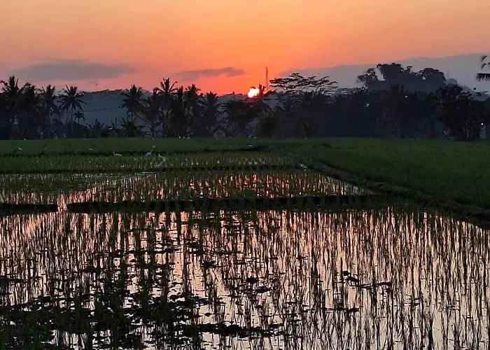 The Sari Pulagan ヴィラ Tampaksiring